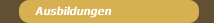 Ausbildungen
